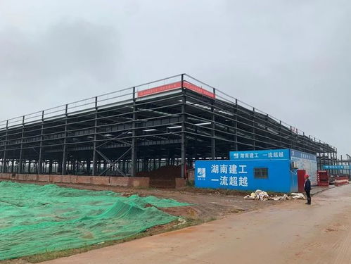 益陽總投資8.229億元大項目預計12月建成投產，房屋建筑工程施工穩步推進